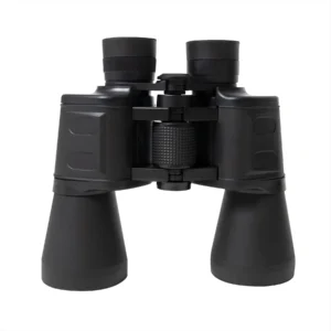 Product P10266