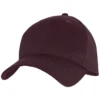 Product P8177