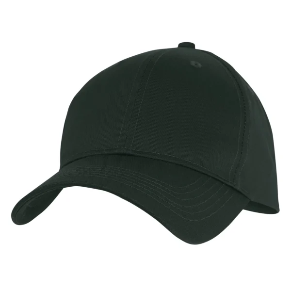 Product P8177