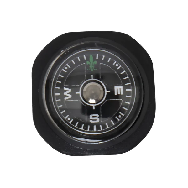 Product P331