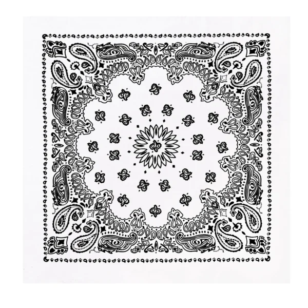 Product P4043
