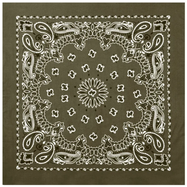 Product P4043