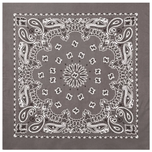 Product P4043
