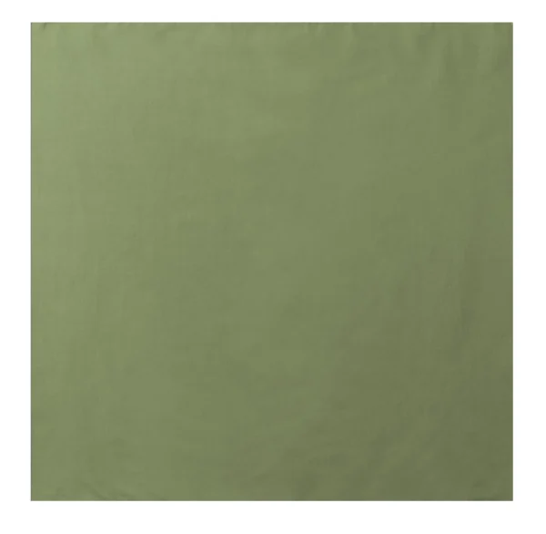 Product P4024