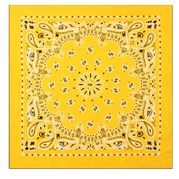 Product P4349