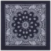 Product P4349