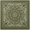 Product P4349