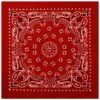 Product P4349