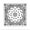 Product P4349