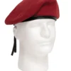 Product P4901